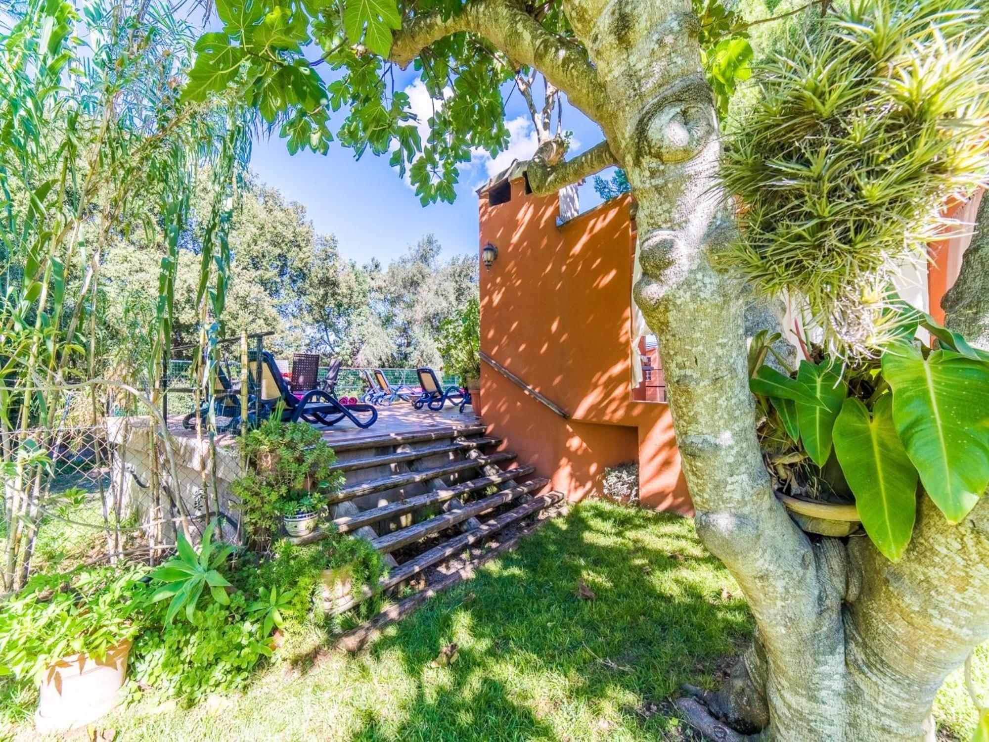Finca In Mallorca With Private Pool Бугер Экстерьер фото